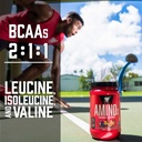 BSN - Amino X