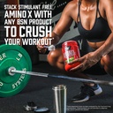BSN - Amino X
