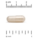 California Gold Nutrition - Digestive Enzymes, Broad Spectrum - 90 Veggie Capsules