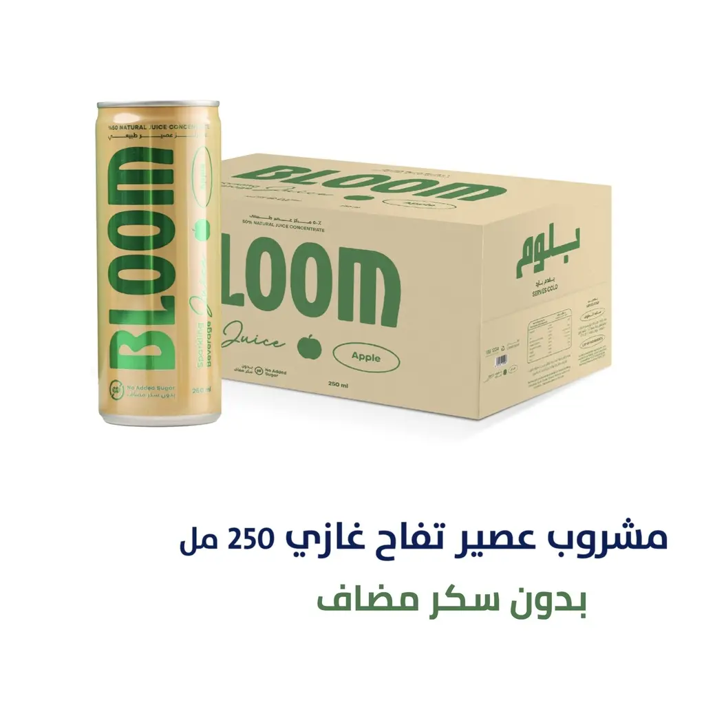 الروضتين - بلـوم تفاح عصير غازي - 250مل (1 PC)